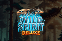 Wild Spirit Deluxe slot