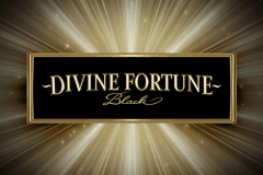 Divine Fortune Black logo