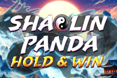 Shaolin Panda: Hold & Win slot