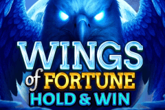 Wings of Fortune: Hold & Win slot