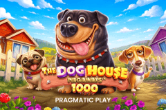 The Dog House Megaways 1000 slot