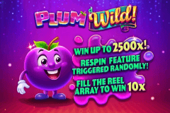 Plum Wild! slot
