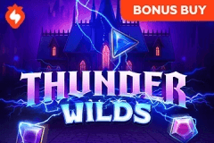 Thunder Wilds logo