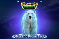 Majestic Polar Bear slot