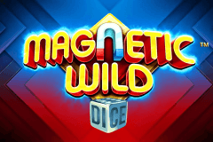 Magnetic Wild Dice slot