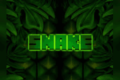 Snake slot