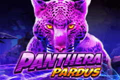 Panthera Pardus slot
