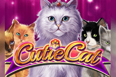 Cutie Cat slot