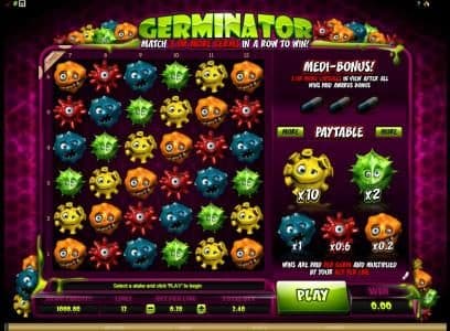 main game board featuring 12 paylines
