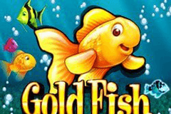Gold Fish slot