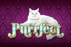 Purrfect slot
