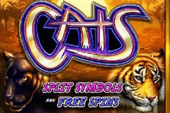 Cats slot