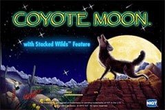 Coyote Moon slot