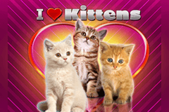 I Heart Kittens slot