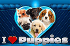 I Heart Puppies slot