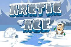 Arctic Ace slot