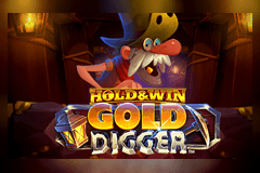 Gold Digger slot
