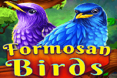 Formosan Birds slot