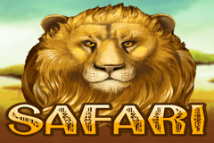 Safari Slots slot