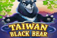 Taiwan Black Bear slot
