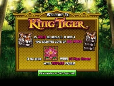 game features and highlights