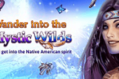 Mystic Wilds slot