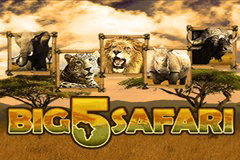 Big 5 Safari slot