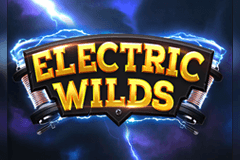 Electric Wilds slot