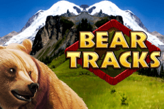 Bear Tracks slot