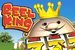 Reel King slot
