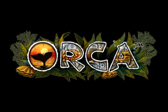 Orca slot