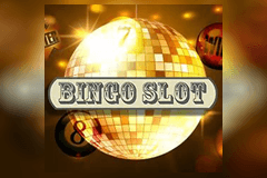 Bingo Slot 25 Lines slot