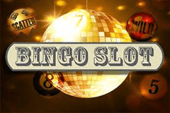 Bingo Slot slot