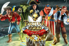 Tortuga Gold the Bay of Fortune slot