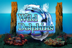 Wild Dolphins slot