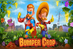 Bumper Crop logo
