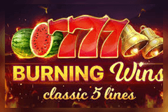 Super Burning Wins Respin slot