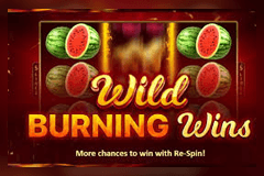 Wild Burning Wins slot