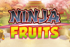 Ninja Fruits slot