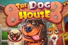 The Dog House Megaways slot
