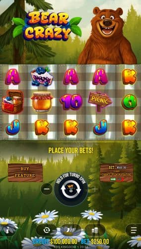 Bear Crazy screenshot 1