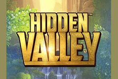 Hidden Valley slot
