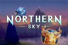Northern Sky logo