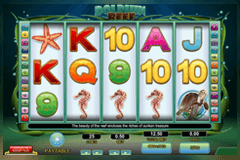 Dolphin Reef slot