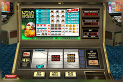 Wild Spider slot