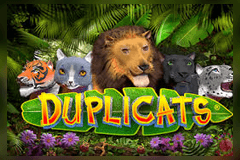 Duplicats slot