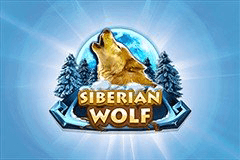 Siberian Wolf slot