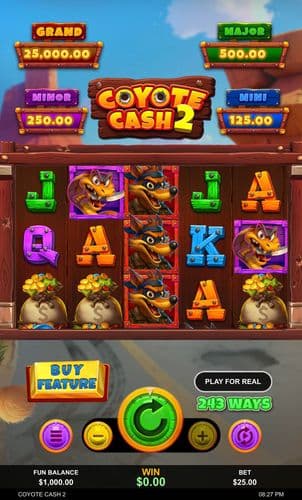 Coyote Cash 2 screenshot 1
