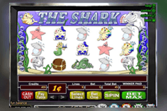 The Shark slot