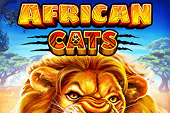 African Cats slot